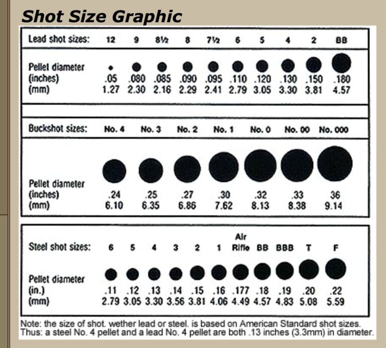 What Does Shot Size Mean For Shotgun Shells
