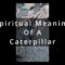 What Does Seeing A Caterpillar Mean Spiritually