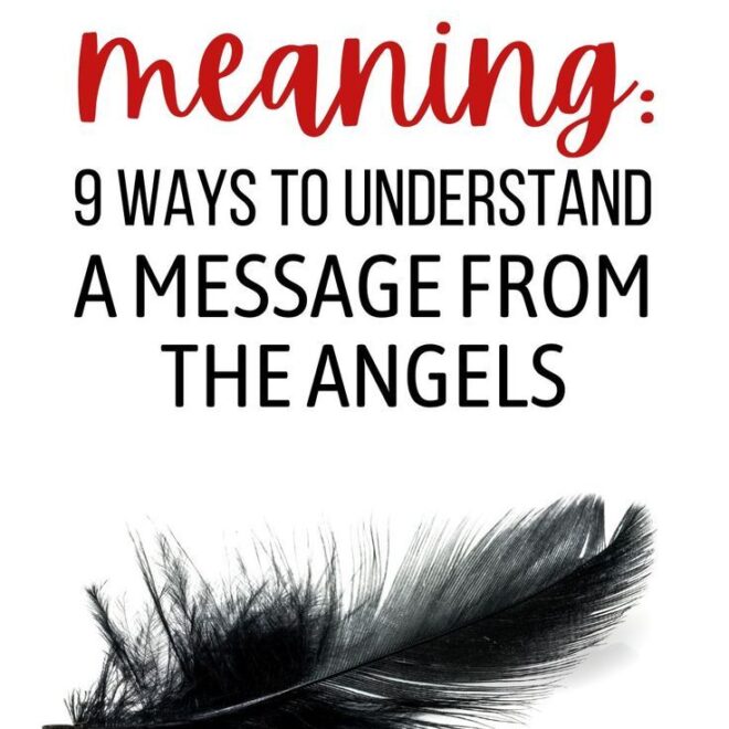 What Does A Black Feather Mean When You Find It