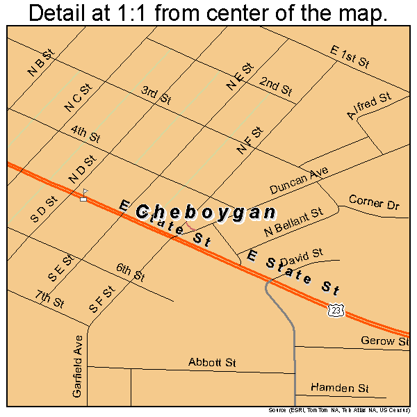 Cheboygan Michigan Street Map 2615000