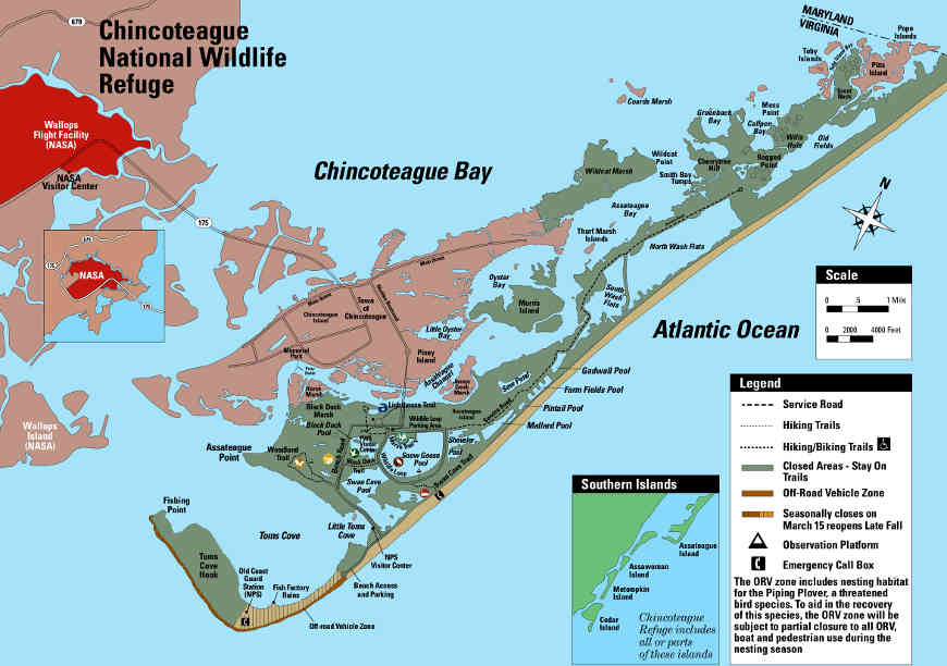 Chincoteague National Wildlife Refuge