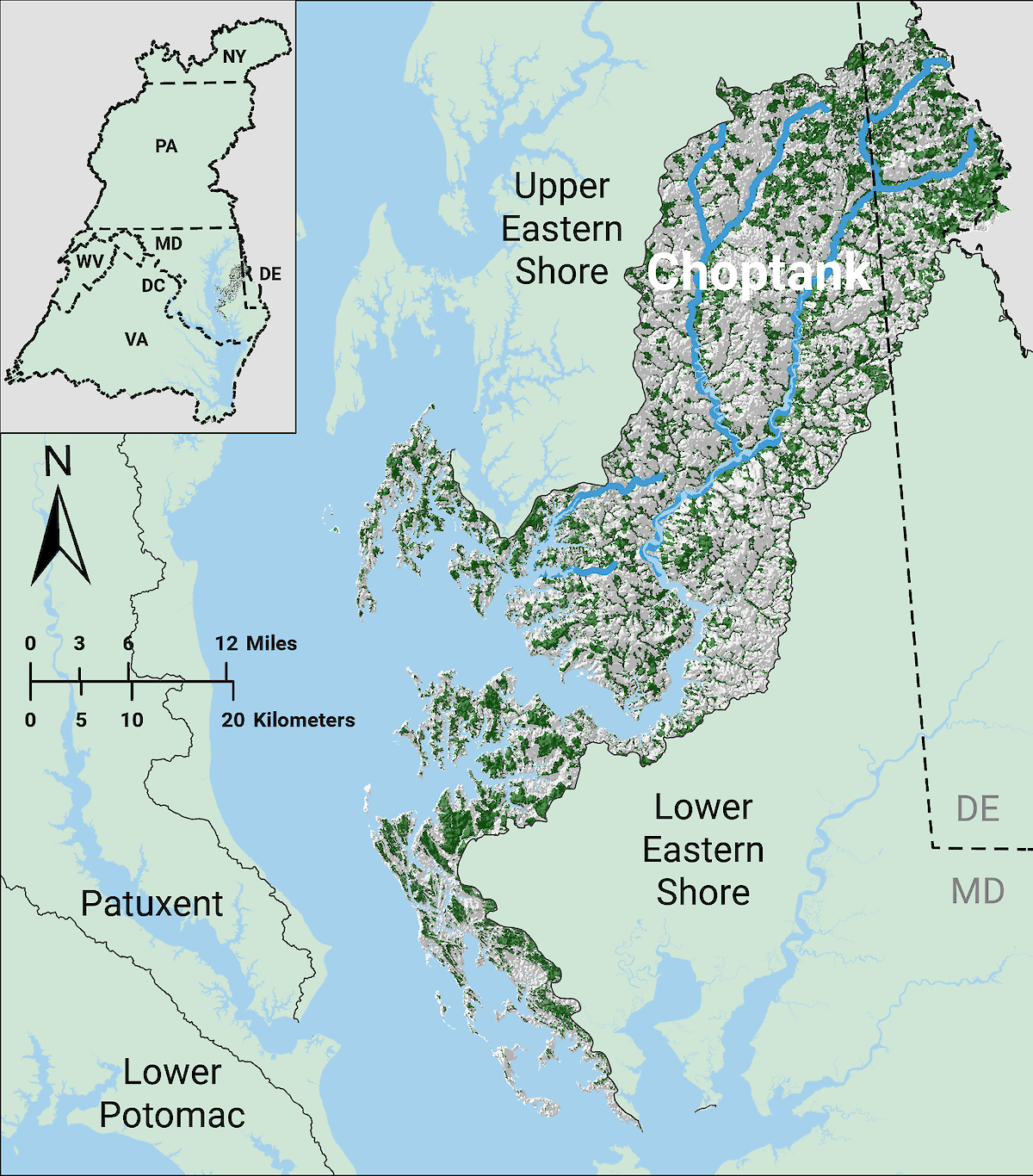 Choptank EcoHealth Report Cards