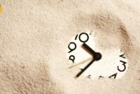 What Does In Dispatch Mean Shein