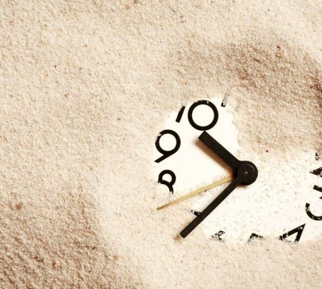 What Does In Dispatch Mean Shein