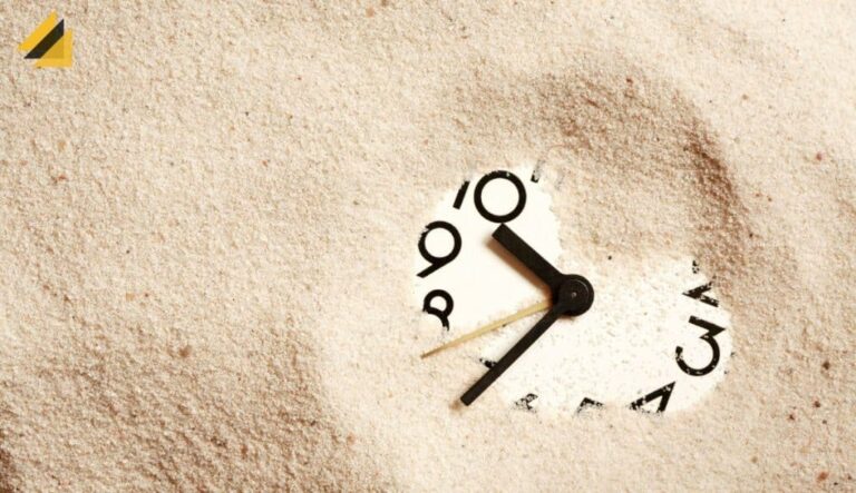 What Does In Dispatch Mean Shein