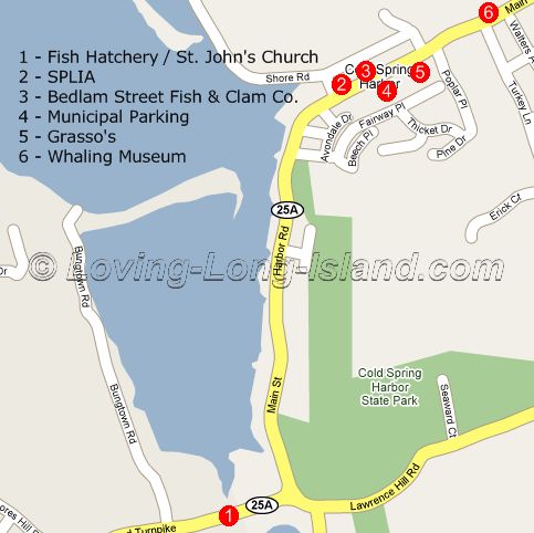 Cold Spring Harbor Detailed Area Map