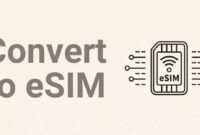 What Does Convert To Esim Mean