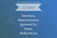 What Does It Mean When You See A Crane