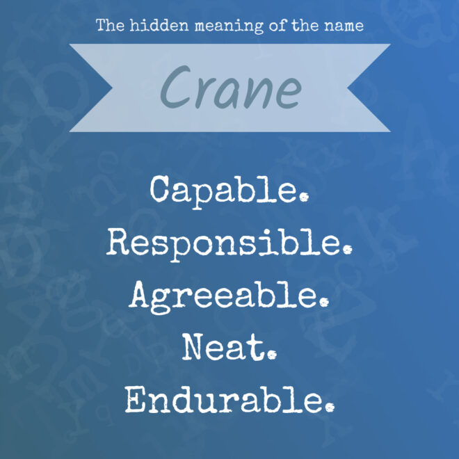 What Does It Mean When You See A Crane
