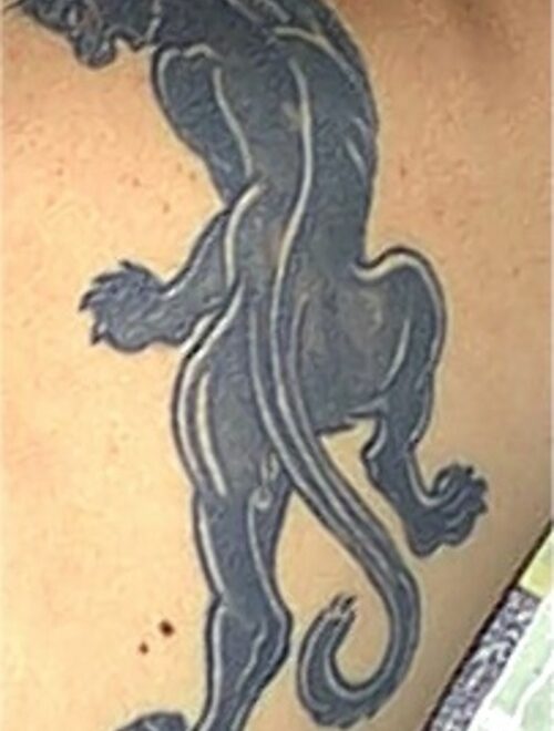 What Does A Panther Tattoo Mean