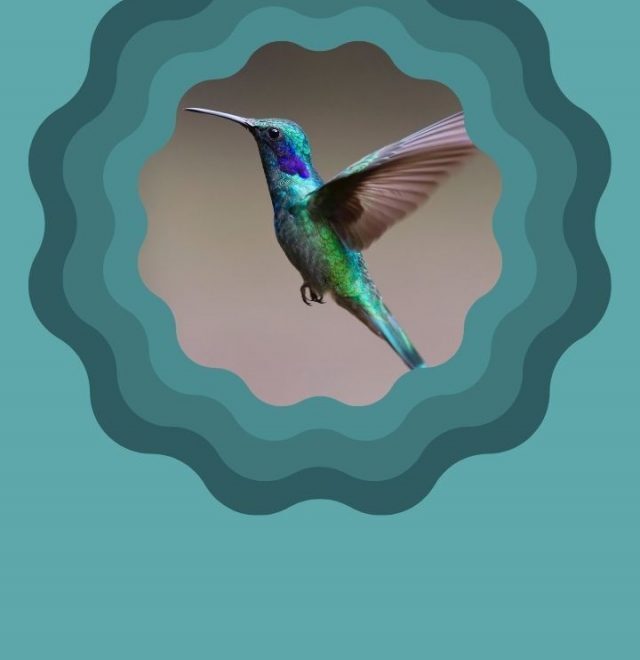 What Does A Hummingbird Mean In A Dream