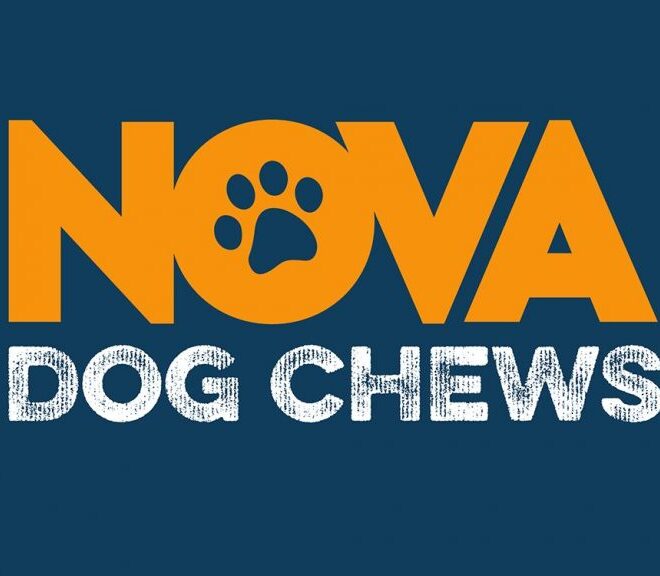 What Does The Name Nova Mean For A Dog