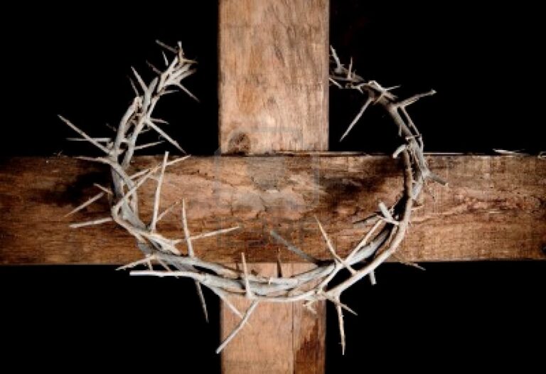 What Does The Crown Of Thorns Mean