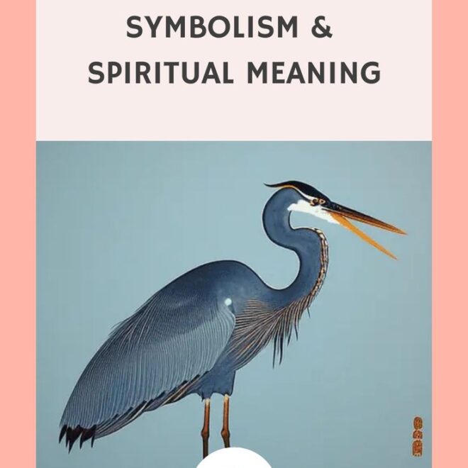 What Does It Mean When You See A Blue Heron