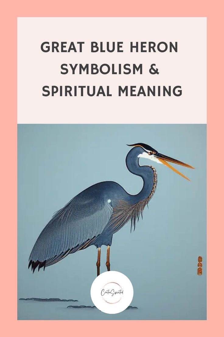 What Does It Mean When You See A Blue Heron