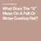 What Does The X Mean On A Cowboy Hat