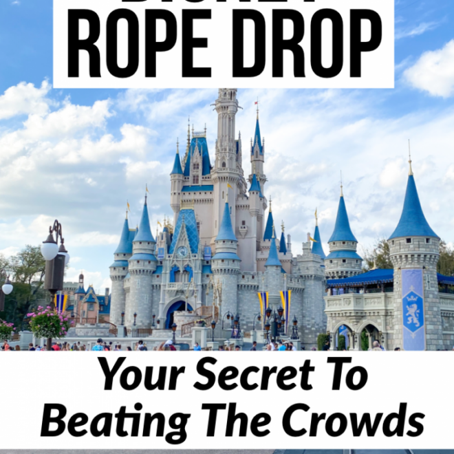 What Does Rope Drop Mean At Disney