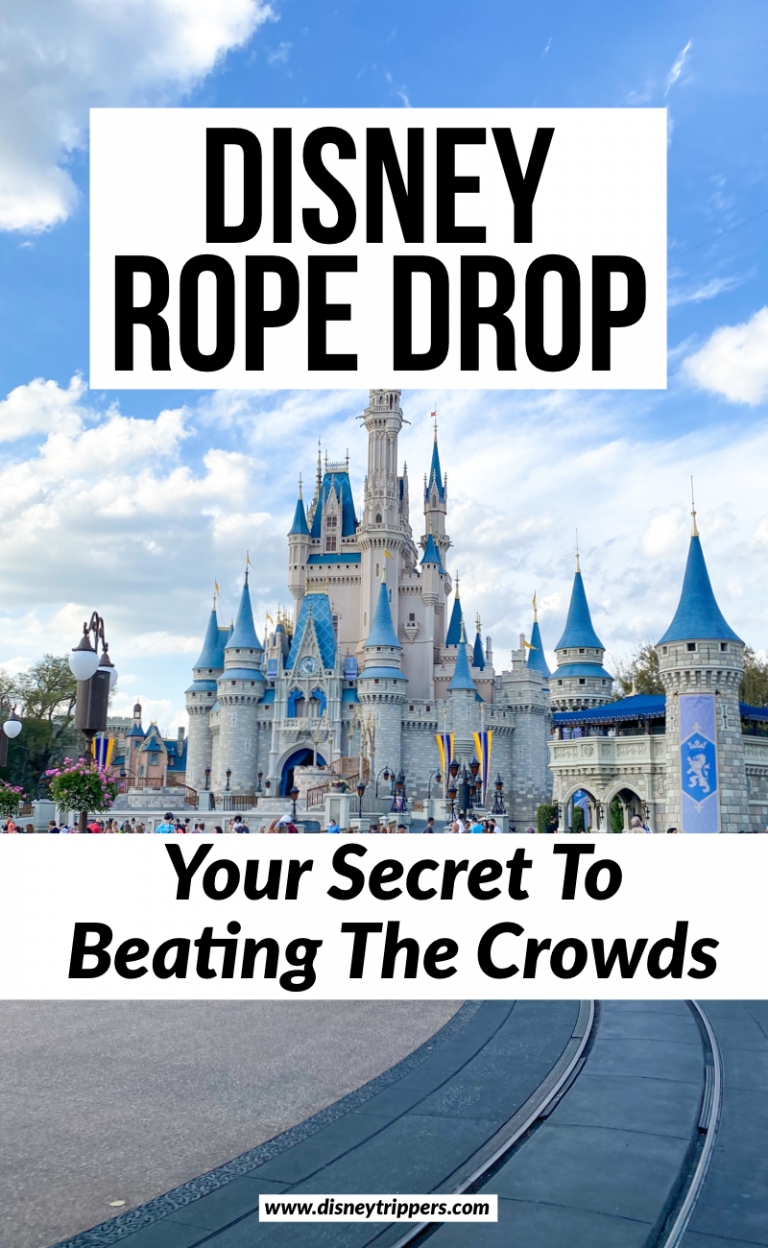 What Does Rope Drop Mean At Disney