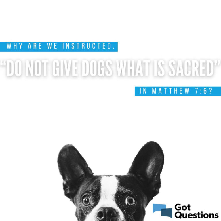 Do Not Give Dogs What Is Sacred Meaning