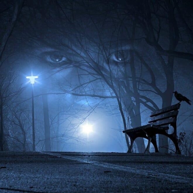 What Does It Mean To Dream Of A Black Widow