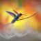 What Does It Mean To Dream Of Hummingbirds