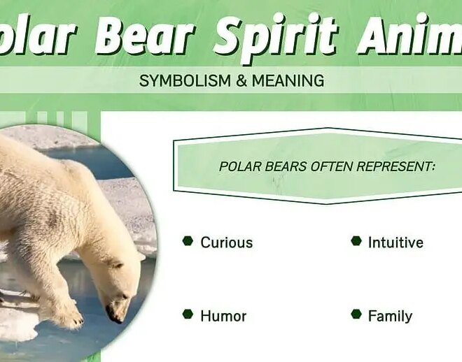 What Is The Biblical Meaning Of Dreaming Of Polar Bear