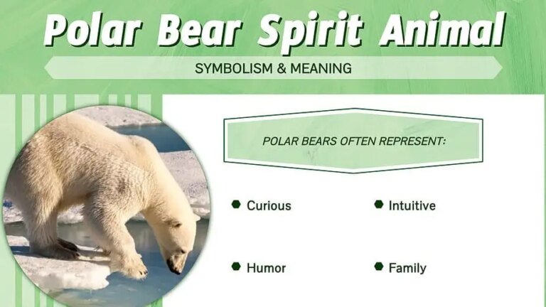 What Is The Biblical Meaning Of Dreaming Of Polar Bear