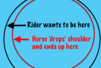 What Does It Mean When A Horse Drops