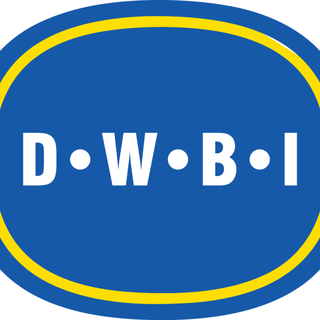 What Does Dwbi Mean On Instagram