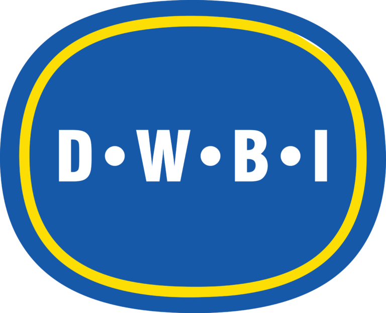 What Does Dwbi Mean On Instagram