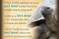 What Does It Mean To See A Turtle