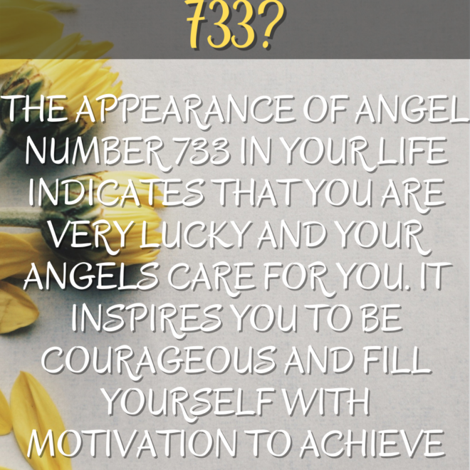 What Does 733 Mean