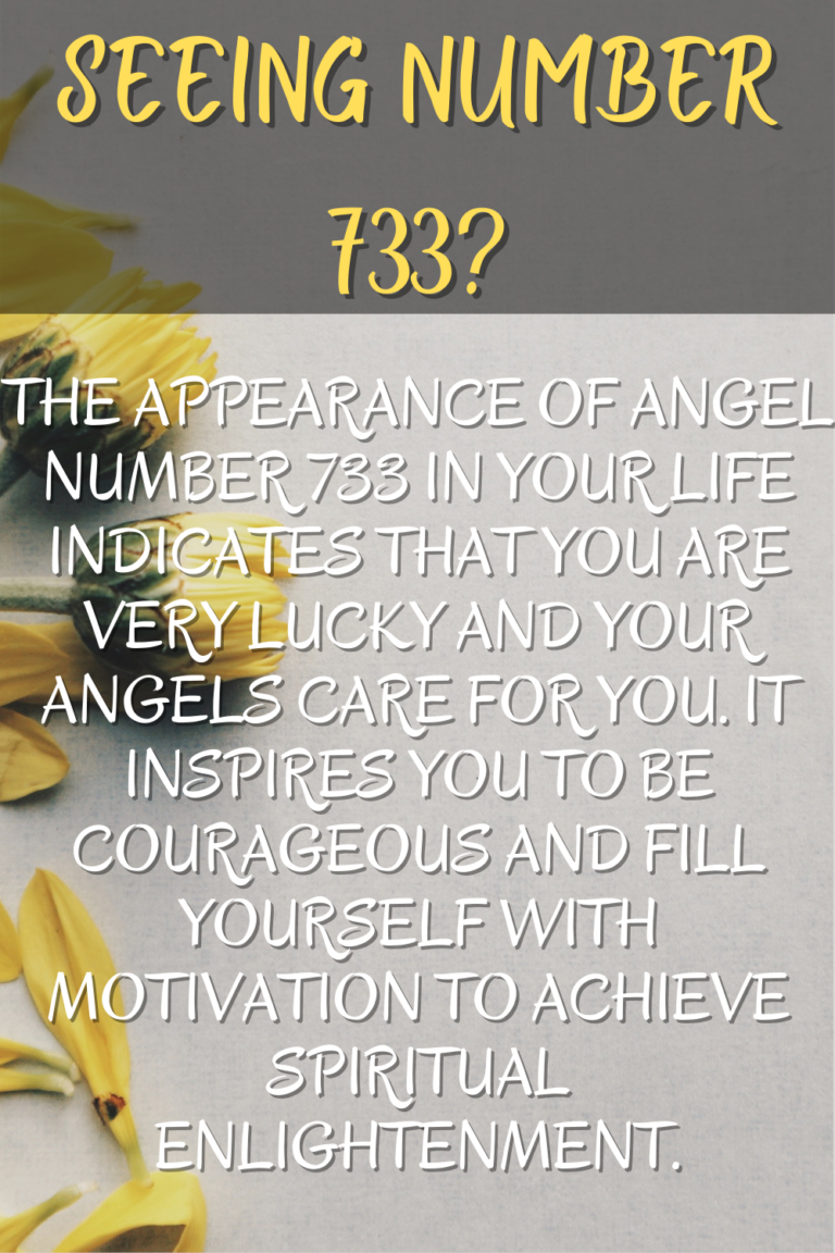 What Does 733 Mean