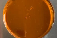 What Does Encapsulated Retinol Mean