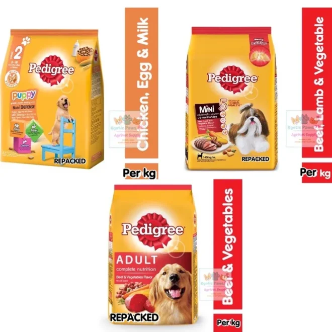 What Does Pedigree Mean For A Dog
