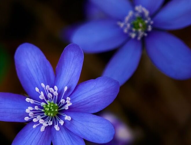 What Does It Mean When Your Middle Finger Itches Spiritually