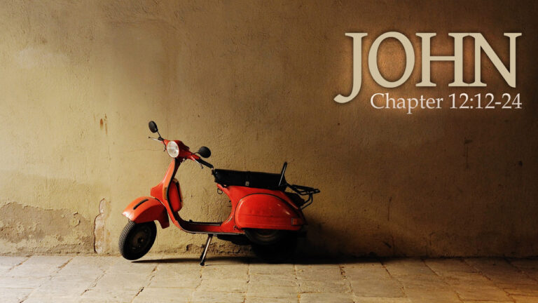 What Does John 12 24 Mean