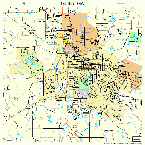Griffin Georgia Street Map