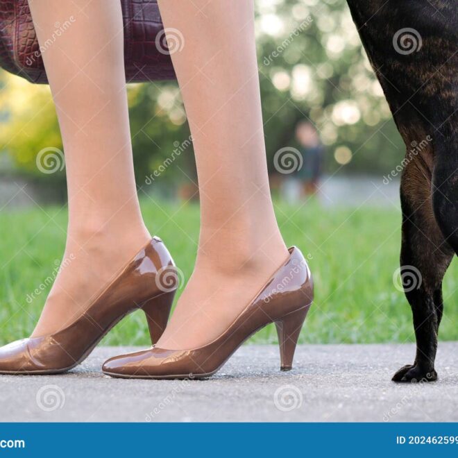 What Does The Command Heel Mean