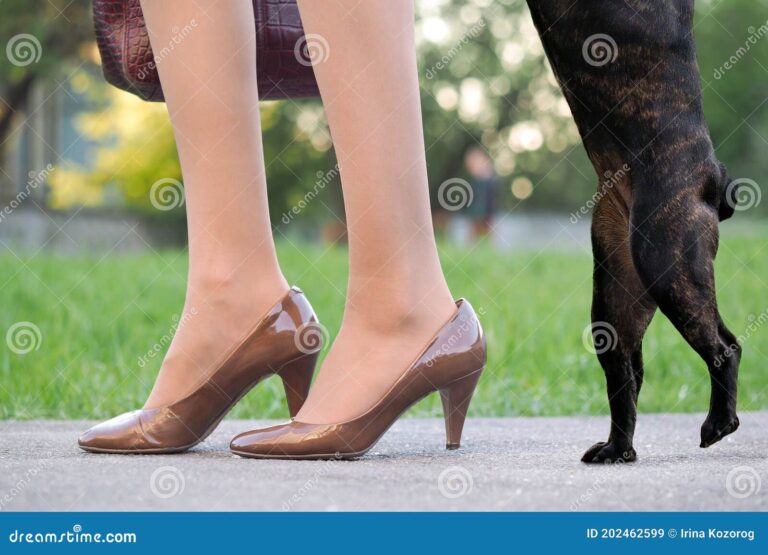 What Does The Command Heel Mean