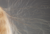 What Does It Mean When Your Hair Is Static