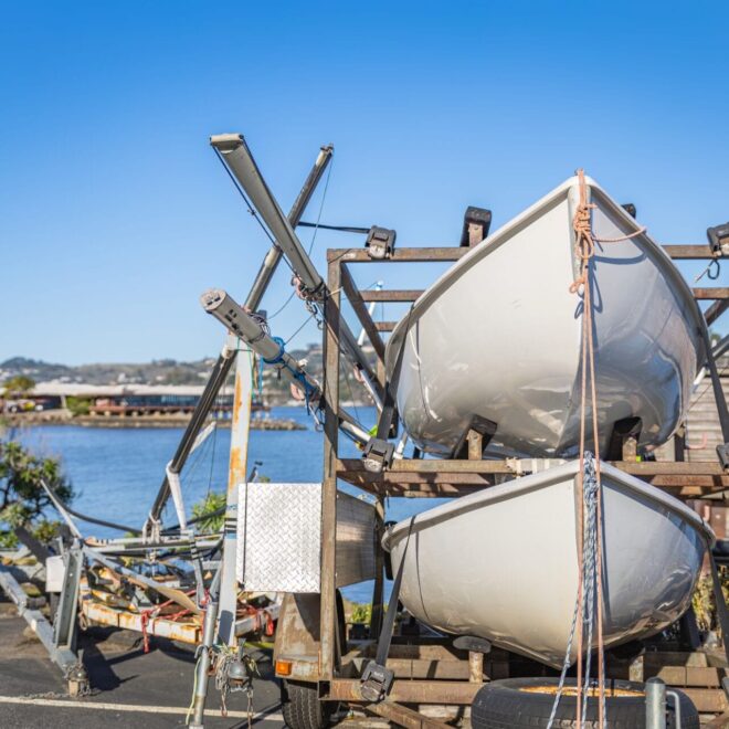 What Does Distillate Cart Mean