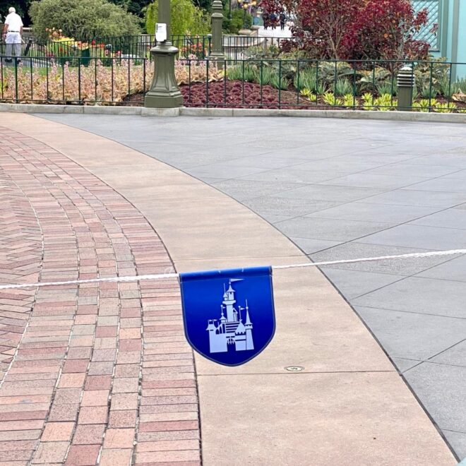 What Does Rope Drop Mean At Disneyland