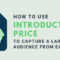 What Does Introductory Price Mean