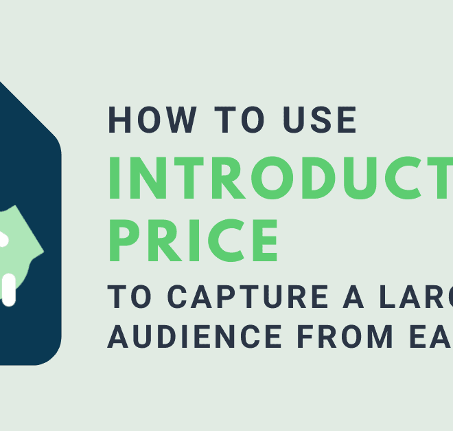 What Does Introductory Price Mean