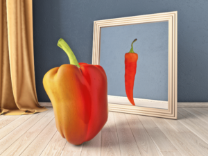 What Does Perception Is Reality Mean