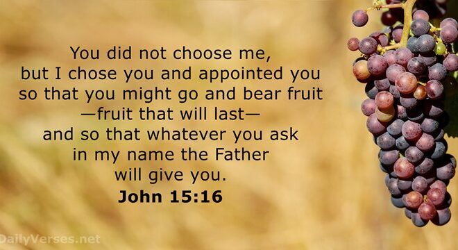 What Does John 15 16 Mean
