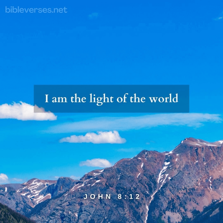 What Does John 12 8 Mean