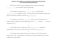 What Does Supervised Probation Mean