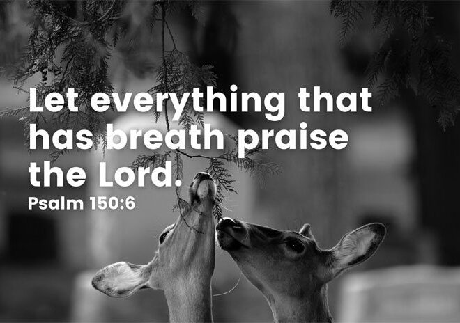 What Does Praise The Lord Mean